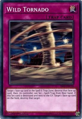 Wild Tornado - SS02-ENC18 - Common 1st Edition Speed Duel Starter Decks: Duelists of Tomorrow Singles