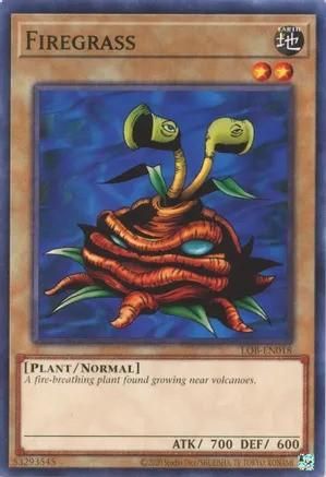 Firegrass - LOB-EN018 - Common Unlimited (25th Reprint) Legend of Blue Eyes White Dragon 25th Anniversary (espanol)