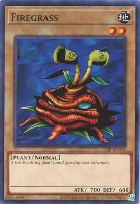 Firegrass - LOB-EN018 - Common Unlimited (25th Reprint) Legend of Blue Eyes White Dragon 25th Anniversary (espanol)