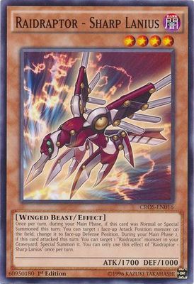 Raidraptor - Sharp Lanius - CROS-EN016 - Common 1st Edition Crossed Souls 1st Edition Singles (espanol)
