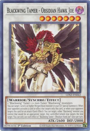 Blackwing Tamer - Obsidian Hawk Joe - LDS2-EN042 - Common 1st Edition Legendary Duelists: Season 2 [LDS2] 1st Edition Singles
