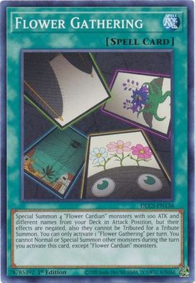 Flower Gathering - DLCS-EN136 - Common 1st Edition Dragons of Legend The Complete Series 1st Edition Singles