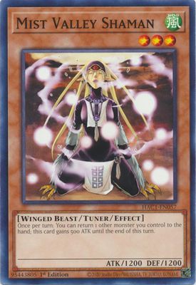 Mist Valley Shaman - HAC1-EN057 - Common 1st Edition Hidden Arsenal: Chapter 1 1st Edition Singles