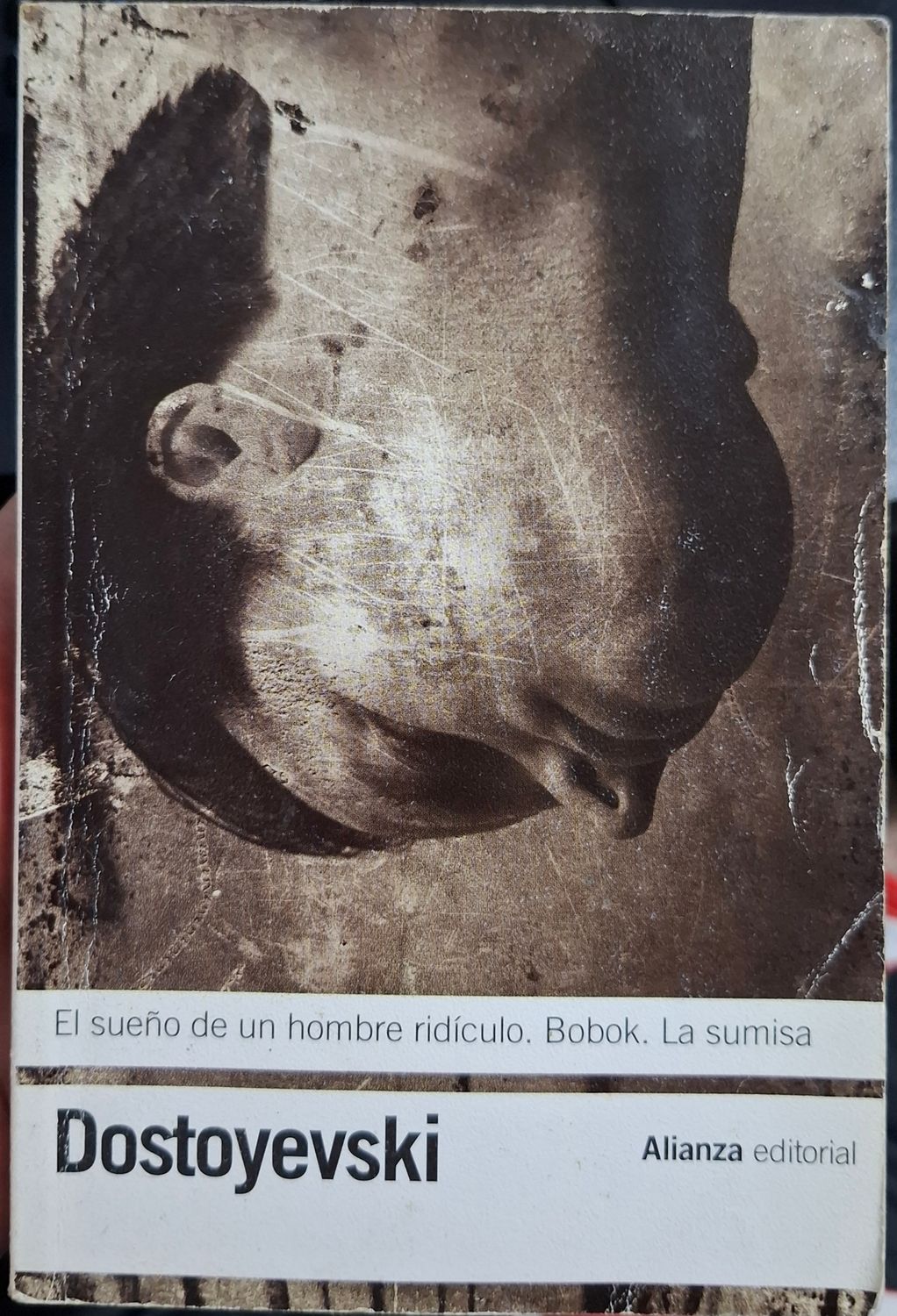 SH8 Dostoyevski Libro Espanol El Sueno de un Hombre Ridículo Bobok La Sumisa