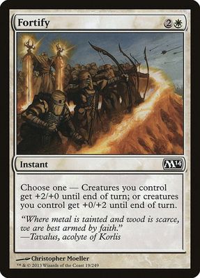 Fortify 19/249 - Magic 2014 (M14)