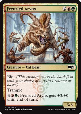 Frenzied Arynx 173/259 - Ravnica Allegiance Singles (Español)