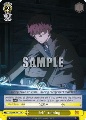 Self-training (TD) - Fate/stay night [Unlimited Blade Works] (FS/S34)