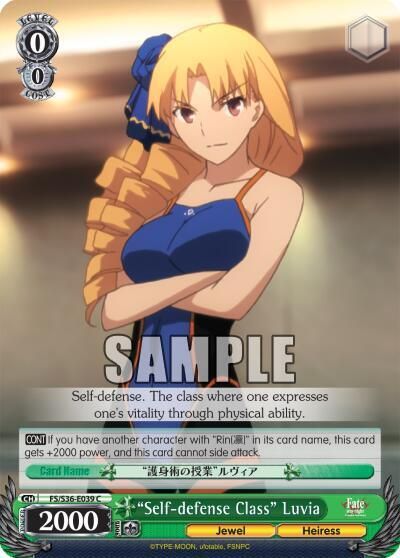Self-defense Class&quot; Luvia - Fate/stay night [Unlimited Blade Works] Vol. II (FS/S36)