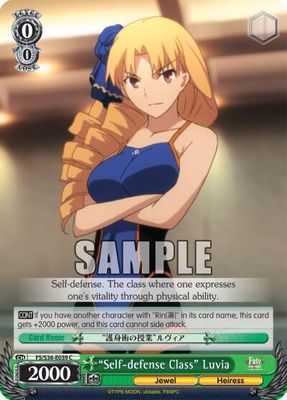 Self-defense Class&quot; Luvia - Fate/stay night [Unlimited Blade Works] Vol. II (FS/S36)
