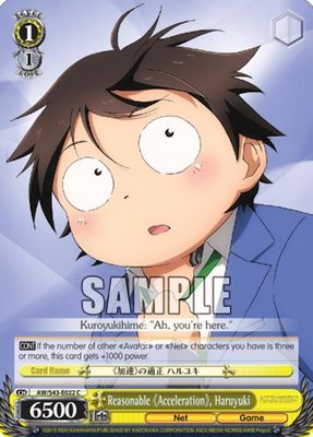 Reasonable &quot;Acceleration&quot;, Haruyuki - Accel World -Infinite Burst- (AW/S43)
