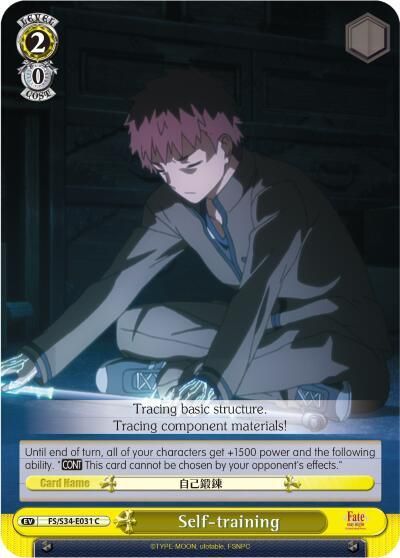Self-training - Fate/stay night [Unlimited Blade Works] (FS/S34)