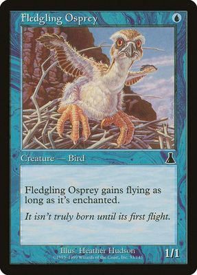 Fledgling Osprey  33/143 - Urza&#39;s Destiny (UDS) (Español)