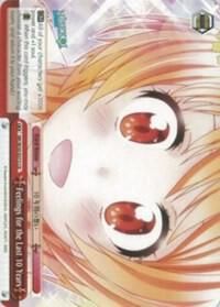 Feelings for the Last 10 Years - NISEKOI -False Love- (NK/W30)