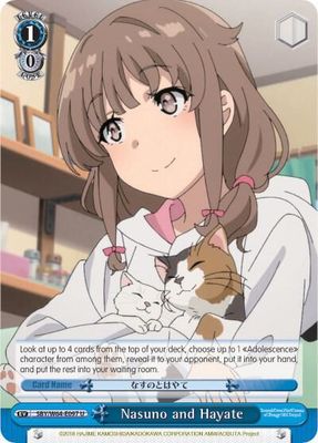 Nasuno and Hayate - Rascal Does Not Dream of Bunny Girl Senpai (SBY/W64) Rascal Does Not Dream of Bunny Girl Senpai