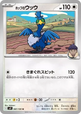 Hop&#39;s Cramorant 087/100 Sv9: Battle Partners Regular (Japanese)