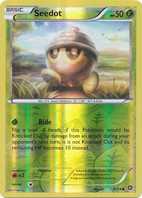 Seedot - 9/114 - Common Reverse Holo XY: Steam Siege Reverse Holo Singles