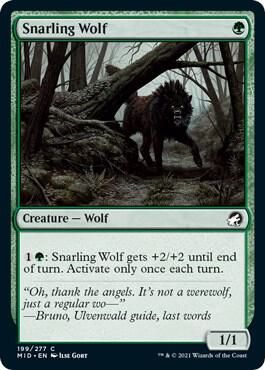 Snarling Wolf 199/277 - Innistrad: Midnight Hunt (MID) (Español)