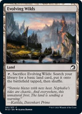 Evolving WIlds 261/277 - Innistrad: Midnight Hunt Singles