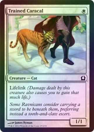 Trained Caracal 27/274 - Return to Ravnica Singles (FOIL)