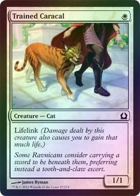 Trained Caracal 27/274 - Return to Ravnica Singles (FOIL)