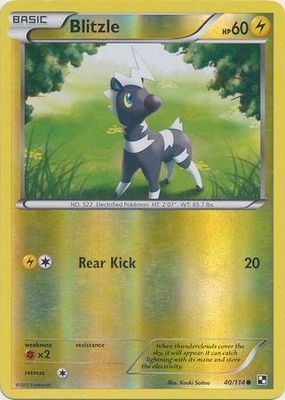 Blitzle - 40/114 - Common Reverse Holo Black &amp; White 1: (Base Set) Reverse Holo Singles