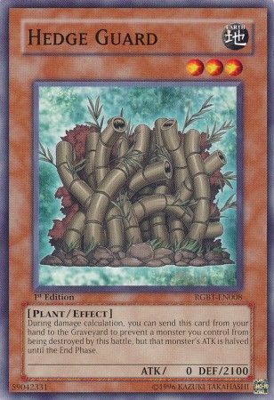 Hedge Guard - RGBT-EN008 - Common 1st Edition Raging Battles [RGBT] 1st Edition Singles