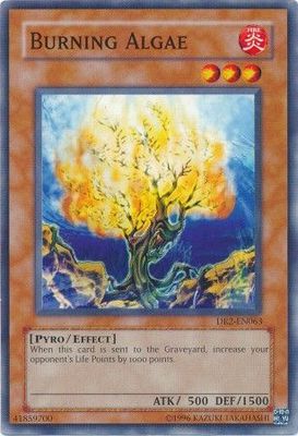 Burning Algae - DR2-EN063 - Common unlimited Dark Revelation 2 DR2