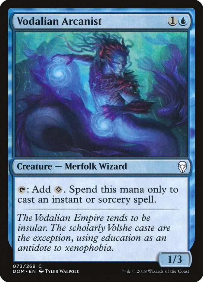 Vodalian Arcanist 073/269 - Dominaria (DOM) (Español)