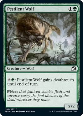 Pestilent Wolf 192/277 - Innistrad: Midnight Hunt Singles (Español)