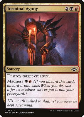 Terminal Agony 215/303 - Modern Horizons 2 Singles