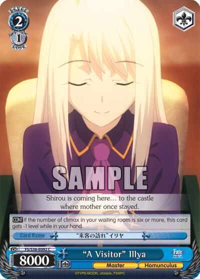 &quot;A Visitor&quot; Illya - Fate/stay night [Unlimited Blade Works] Vol. II (FS/S36) Fate/stay night [Unlimited Blade Works] Vol. II