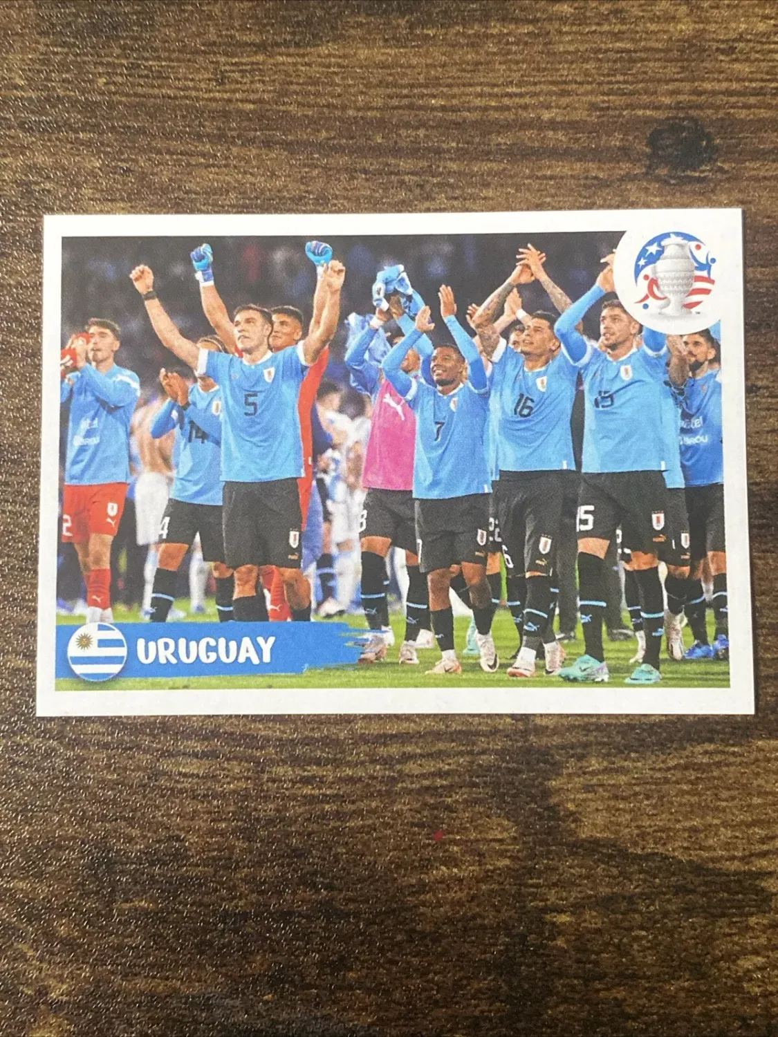 EQUIPO DE FÚTBOL URUGUAY Pegatina Panini Copa América 2024 #URU2  S2314