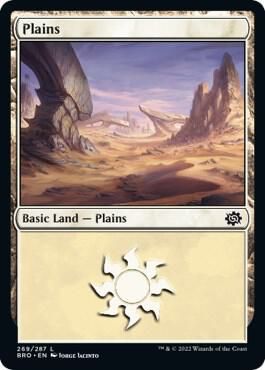 Plains 269/287  - The Brothers&#39; War (BRO)