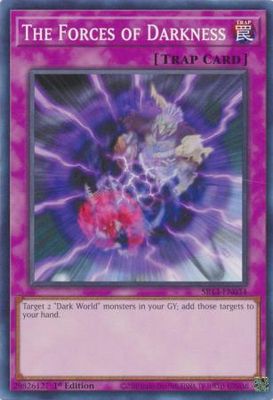 The Forces of Darkness - SR13-EN034 - Common 1st Edition Structure Deck: Dark World [SR13] 1st Edition Singles
