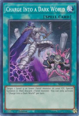 Charge Into a Dark World - SR13-EN028 - Common 1st Edition Structure Deck: Dark World [SR13] 1st Edition Singles