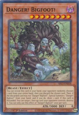 Danger! Bigfoot! - SR13-EN018 - Common 1st Edition Structure Deck: Dark World [SR13] 1st Edition Singles