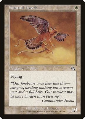 Suntail Hawk 28/143- Judgment (JUD)