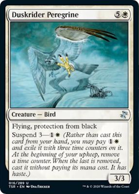 Duskrider Peregrine 016/289- Time Spiral: Remastered (TSR)