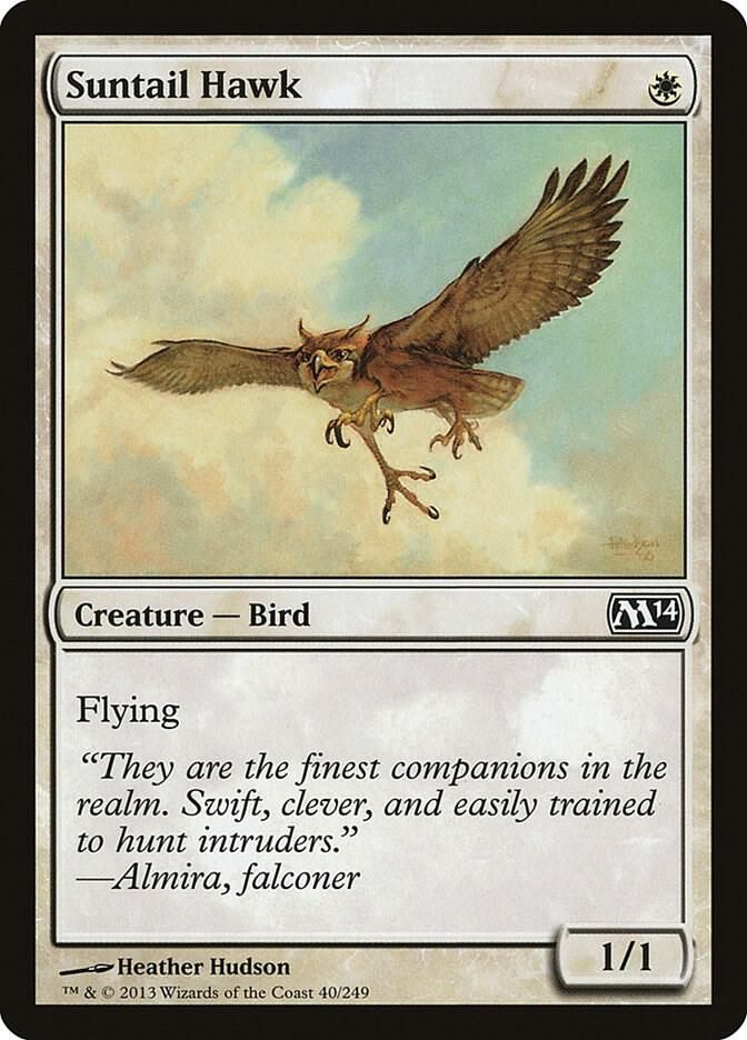 Suntail Hawk 40/249- Magic 2014 (M14) (M14)