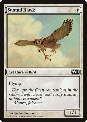 Suntail Hawk 40/249- Magic 2014 (M14) (M14)