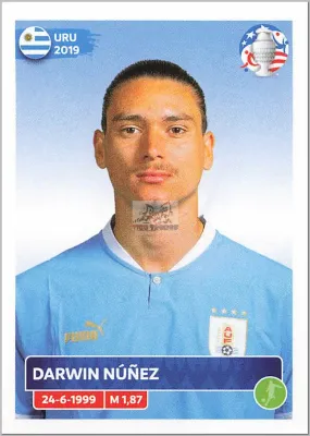 Copa America 2024 - URU21 - Darwin Nunez