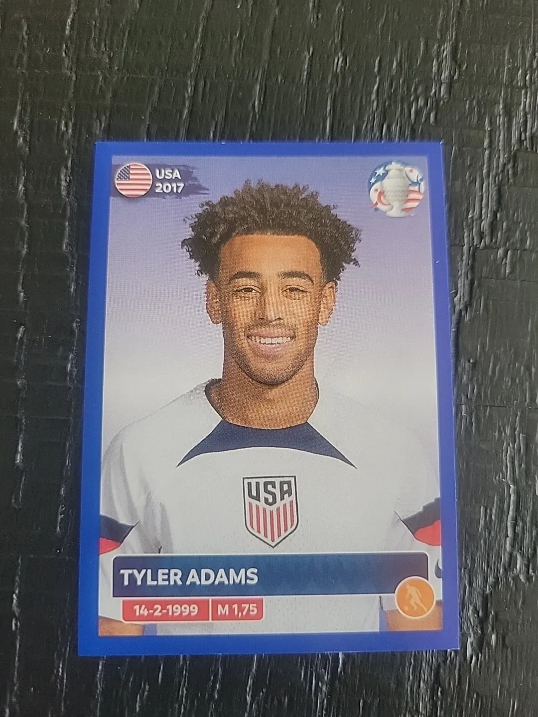 2024 Panini Conmebol Copa America TYLER ADAMS Blue Parallel Album Sticker USA12