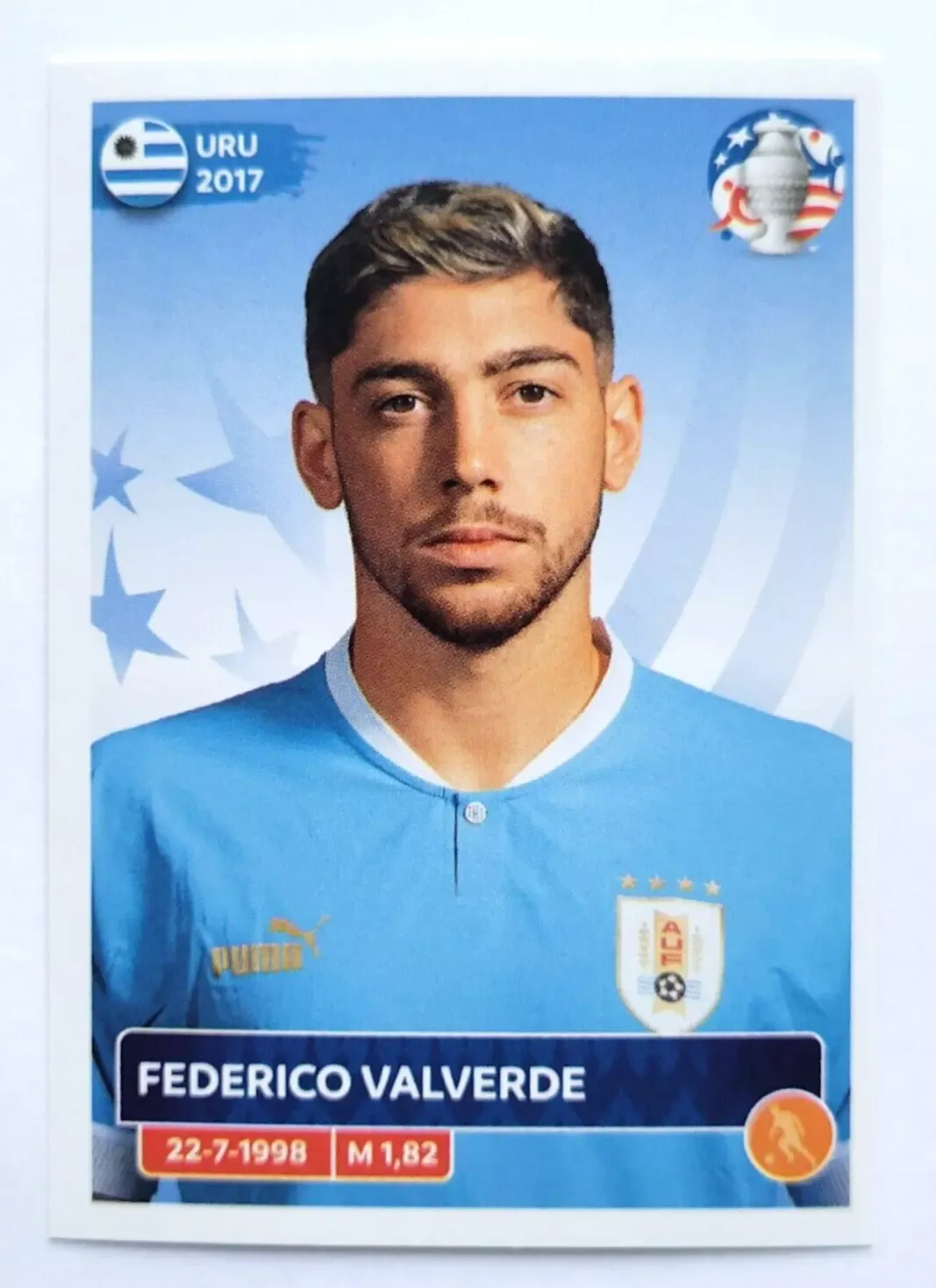 FEDERICO VALVERDE Pegatina Panini COPA AMÉRICA EE. UU. 2024 #203 URU13  URUGUAY
