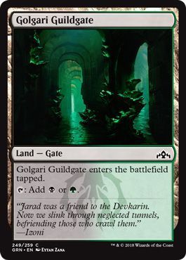 Golgari Guildgate 249/259 Guilds of Ravnica Singles