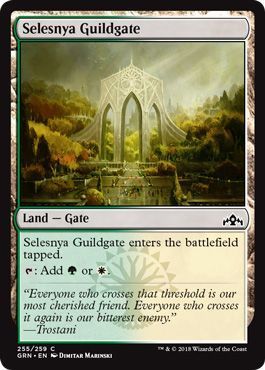 Selesnya Guildgate 255/259 Guilds of Ravnica Singles (Español)