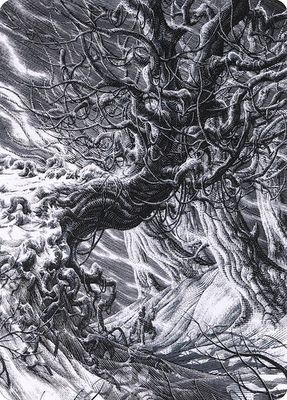Forest,  pig hands 81/81 magic the gathering (Español)