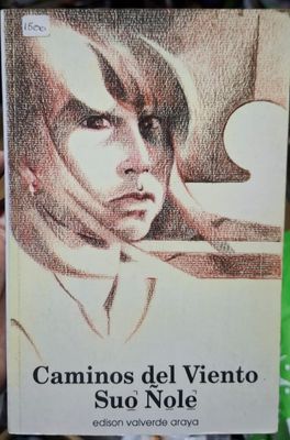 BAF1 Caminos del Viento Libro Espanol