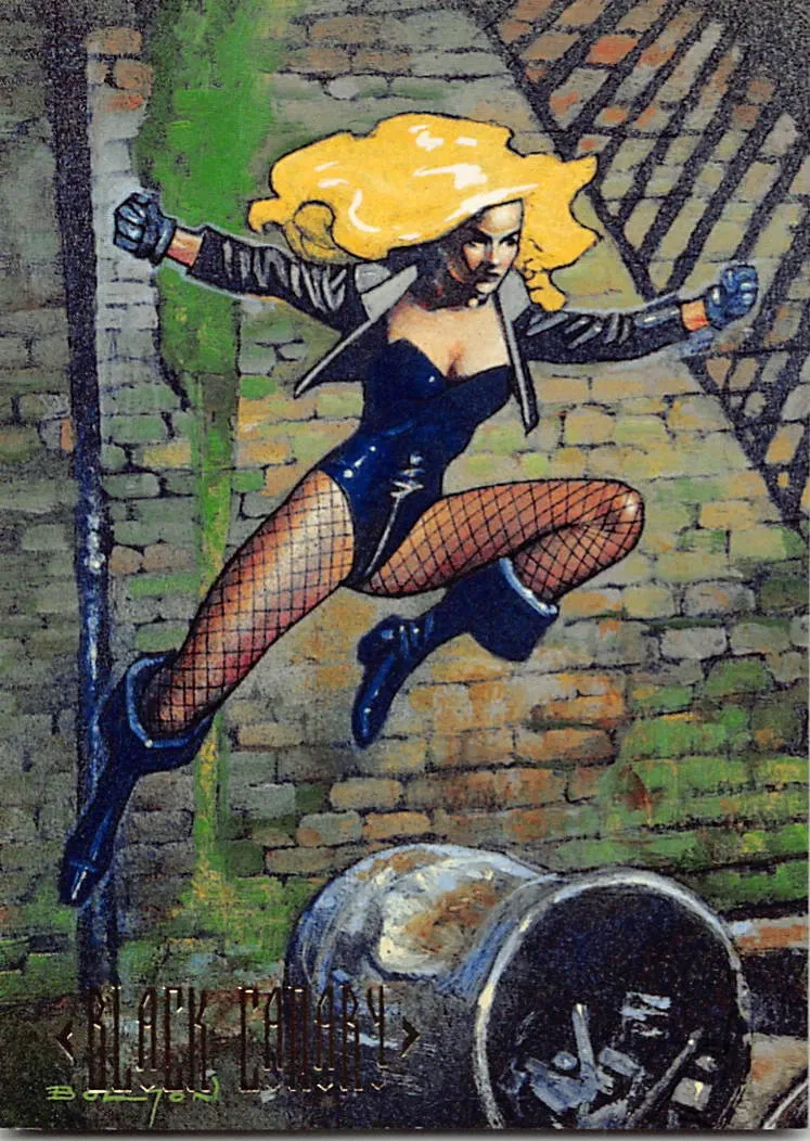 1994 SkyBox DC Master Series #87 Black Canary