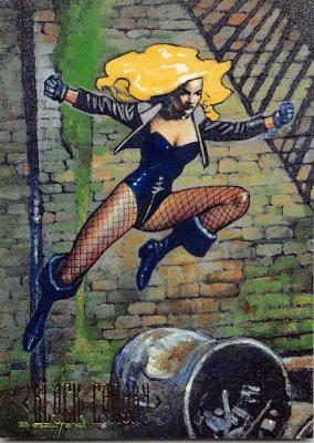1994 SkyBox DC Master Series #87 Black Canary