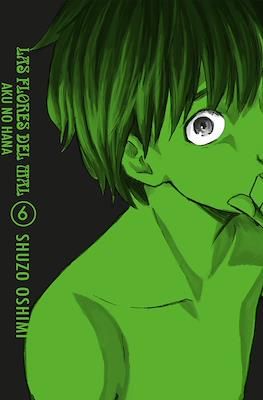 SH Las Flores del Mal Manga Volumen 6 Espanol Aku no Hana